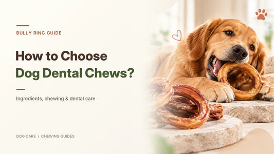 How to Choose Dog Dental Chews: Bully Ring Ingredients, Long-Lasting Chewing & Dental Benefits