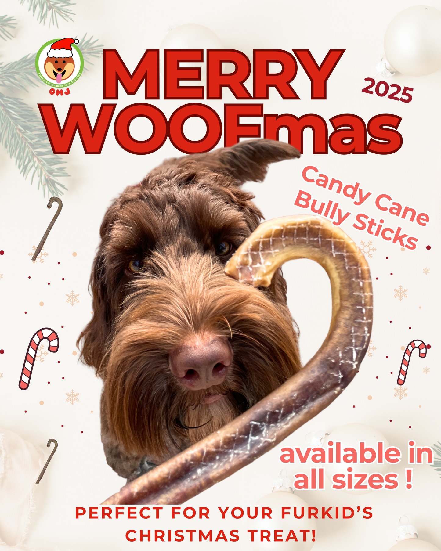 2025 Christmas Special - OMJ Candy Cane Bully Stick