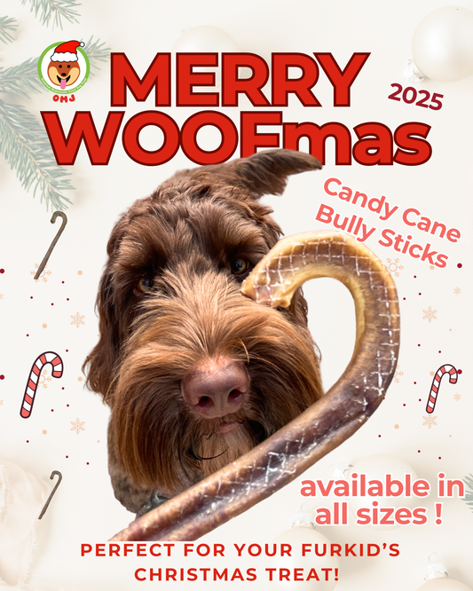 2025 Christmas Special - OMJ Candy Cane Bully Stick