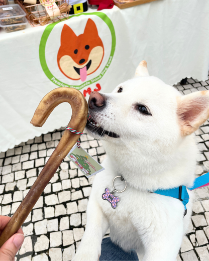 2025 Christmas Special - OMJ Candy Cane Bully Stick