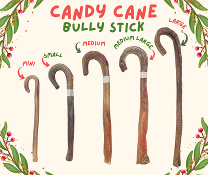 2025 Christmas Special - OMJ Candy Cane Bully Stick