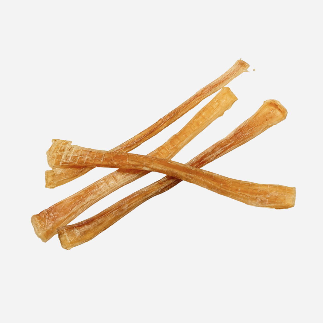 Beef Tendons