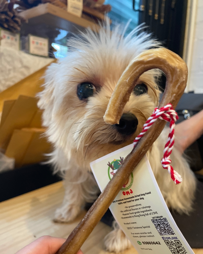 2025 Christmas Special - OMJ Candy Cane Bully Stick