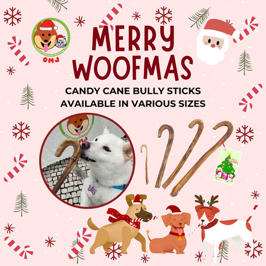 OMJ Candy Cane Bully Stick