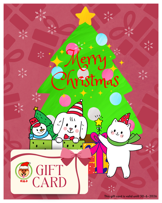 2025 Christmas Special – Christmas Gift Card