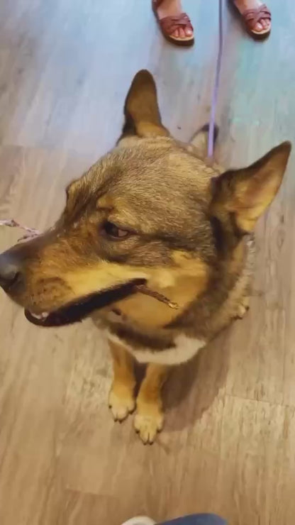 Dried Beef Shank Sticks - 90g